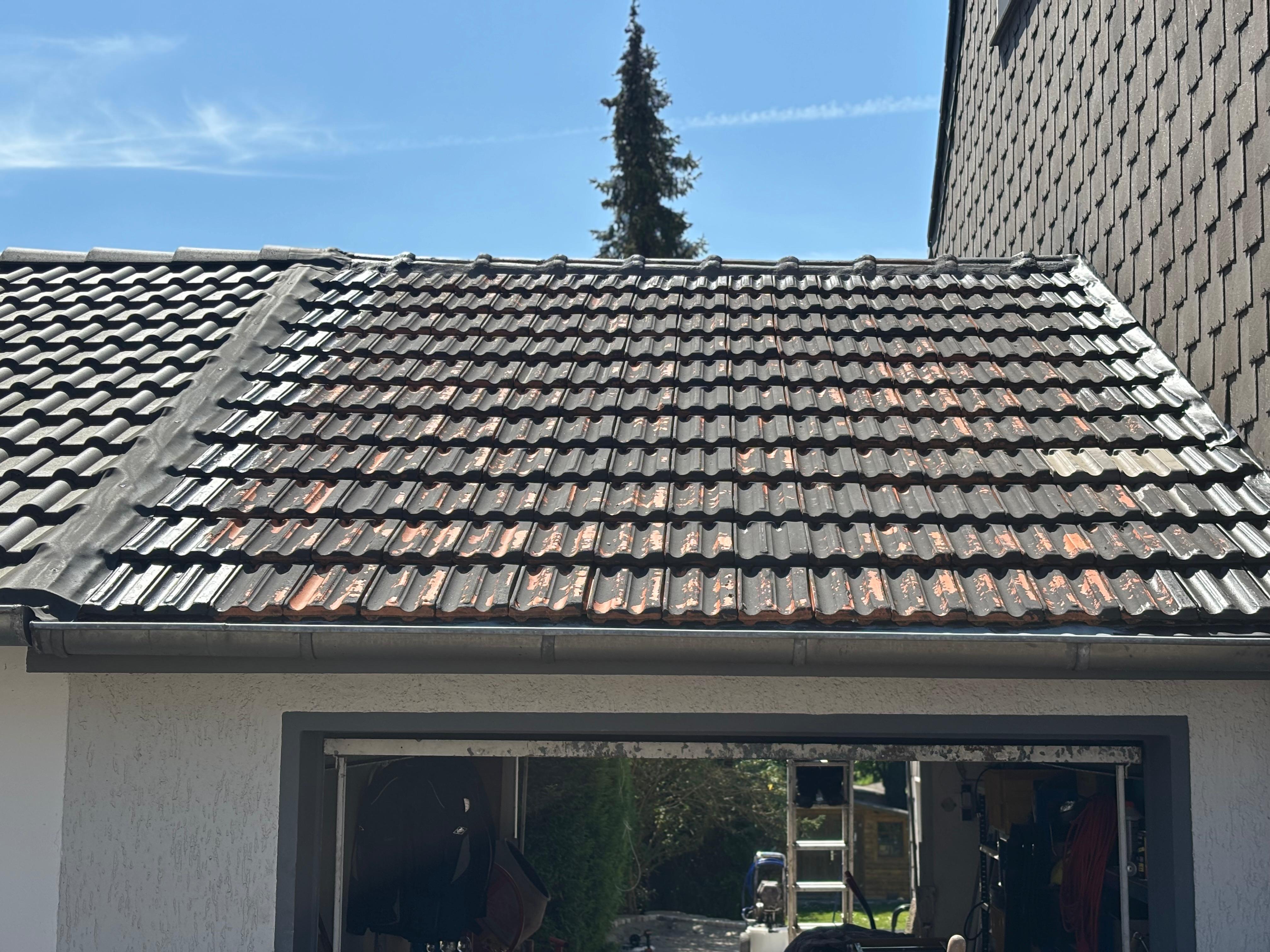 Dachreinigung vorher