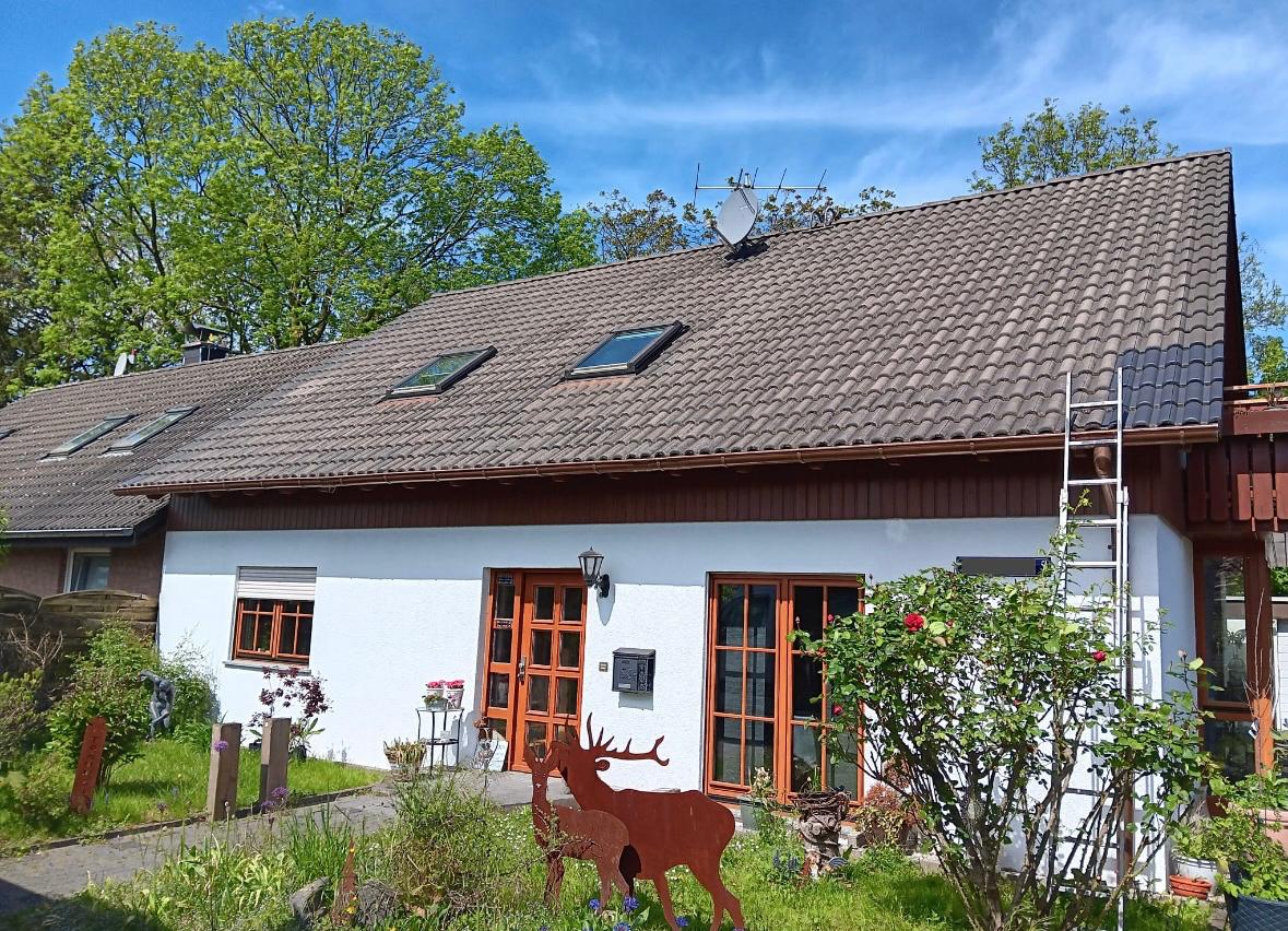 Dachreinigung vorher